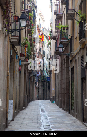 Farbbild Porträt einer kleinen Straße im Zentrum von Barcelona. Bunt und kulturelle. Stockfoto