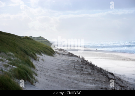 Dünen und Strand von Sylt, Schleswig-Holstein, Deutschland Stockfoto