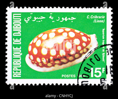 Briefmarke aus Dschibuti Darstellung einer Meeresschnecke Cypraea Cribraria. Stockfoto