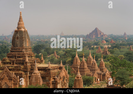 Blick über die Ebenen der heidnischen aus Dhammayazika Paya. Burma. Bagan, Myanmar Stockfoto