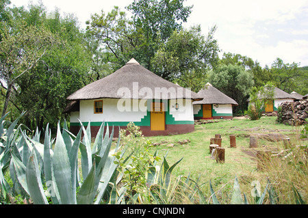 Xhosa-Dorf, Lesedi African Cultural Village, Broederstroom, Johannesburg, Provinz Gauteng, Südafrika Stockfoto