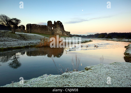 Ogmore Burg, Bridgend, am frühen Morgen im Winter mit Mond und Schwäne. Stockfoto