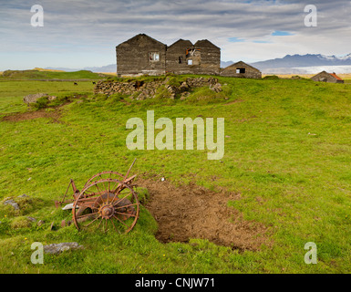 Vidbordssel Bauernhof mit Hingabe Haus, Hornafjördur Island Stockfoto