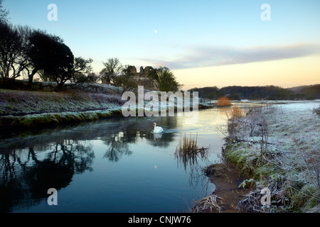 Ogmore Burg, Bridgend, am frühen Morgen im Winter mit Mond und Schwäne. Stockfoto