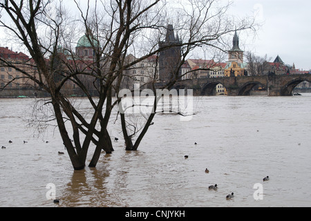 Hochwasser in der Moldau in Prag, Tschechische Republik, am 4. Januar 2003. Karlsbrücke ist im Hintergrund zu sehen. Stockfoto