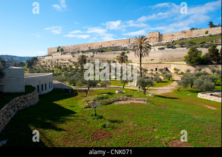 Nahost Israel der Jerusalemer Altstadt mit Blick auf die westliche Wand aus dem Tal zwischen dem Ölberg Stockfoto