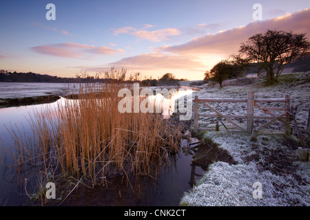 Ewenny River, in der Nähe von Ogmore Burg, Bridgend, South Wales, am frühen Morgen. Stockfoto