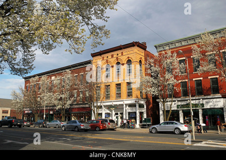 Main Street im April in Massachusetts Great Barrington Stockfoto