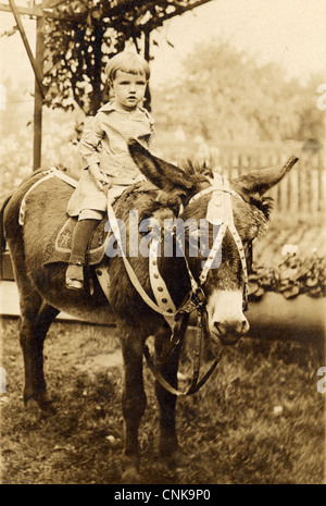 Blonde junge in karierten Outfit einen Esel reiten Stockfoto