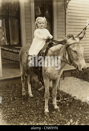 Angst vor Mädchen Kleinkind einen Esel reiten Stockfoto