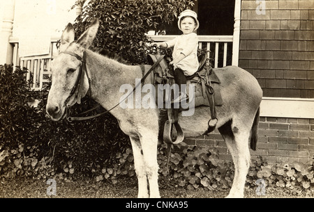 Happy Little Boy, die versuchen, einen Esel zu reiten Stockfoto