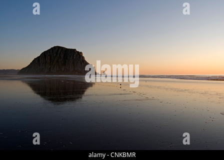 Horizontales Bild der Morro Rock und ihre Reflexion bei Sonnenuntergang am Strand von Morro mit Textfreiraum. Stockfoto