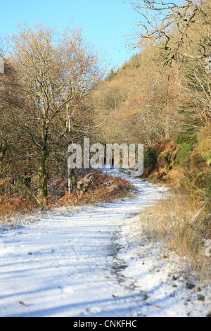 Zwei Wanderer auf einem verschneiten Pfad entlang den Ufern des Loch Lomond nördlich von Rowardennan und Bestandteil des West Highland Way Stockfoto