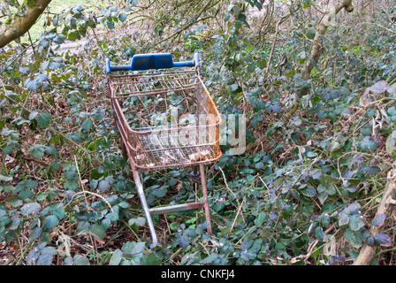 Ein rostigen Einkaufswagen verlassen im Wald. Stockfoto