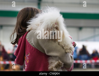 Mädchen mit Coton de Tulear auf dem Arm an einer Hundeausstellung Stockfoto