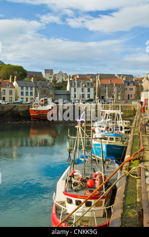 Angelboote/Fischerboote in der schottischen Küstenhafen Pittenweem Schottland East Neuk of Fife UK GB EU Europa Stockfoto