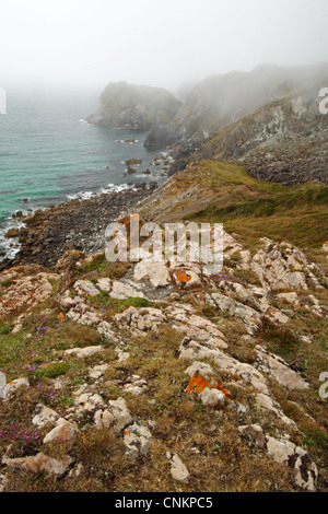 Klippen über Pentreath Strand, Lizard Point, Cornwall, Vereinigtes Königreich. Stockfoto