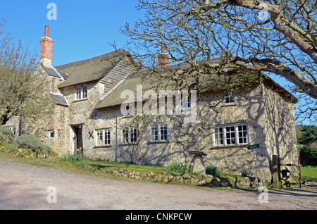 Hübsche Ferienhäuser, in der Nähe von Branscombe, Devon, UK Stockfoto