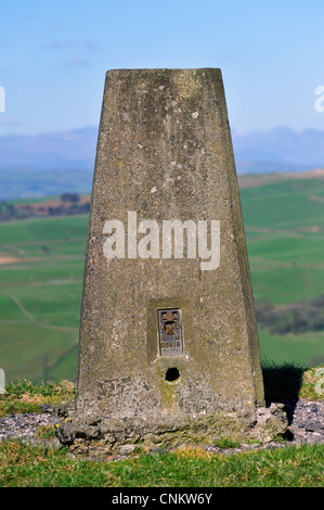 Trigonometrischen Punkt. Ordnance Survey Bench Mark S5516. Roan Rand, neue Hutton, Cumbria, England, Unioted Königreich, Europa. Stockfoto