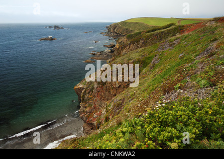 Lizard Point, Cornwall. Stockfoto