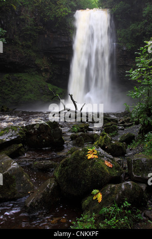 Henrhyd Wasserfall; Wales. Stockfoto