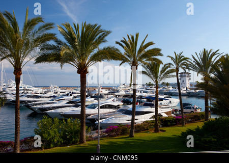 Puerto Portals auf Mallorca, Spanien Stockfoto