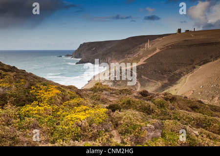 Kapelle Porth mit Blick auf Wheal Coates Maschinenhaus und St. Agnes; Cornwall; UK Stockfoto