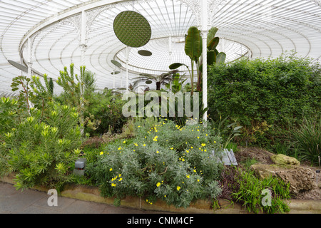 Kibble Palace viktorianisches Gewächshaus in den Glasgow Botanic Gardens, Schottland, Großbritannien Stockfoto