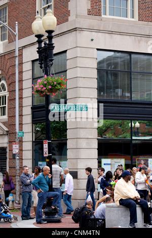 CAMBRIDGE, MA, USA - 25. Juni 2011: Typische Sommer-Szene in Harvard Square, vor den Toren der Harvard University. Stockfoto