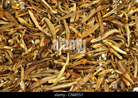 Kleine Tasse Jasmintee umgeben von Jasmin getrockneten Blätter und Blüten Stockfoto