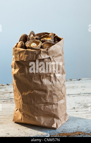 Getrocknete Shiitake Pilze, medizinische und kulinarische Stockfoto