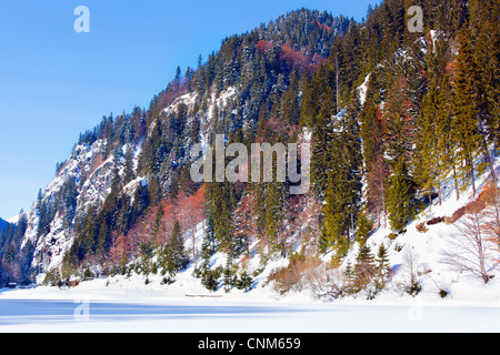 Landschaft mit See und Bergen mit Pinienwäldern Stockfoto