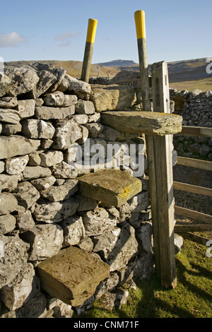 Blick vom Stein Stil in Crummackdale die fernen Gipfel des Pen-y-Gent, Yorkshire Dales, England. Stockfoto