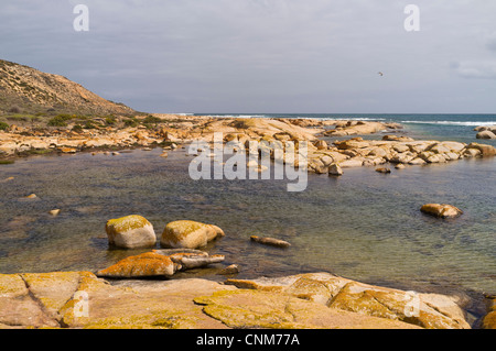 Die Granite bei Westall Bucht an der Großen Australischen Bucht in der Nähe von Streaky Bay an der Westküste der Eyre Peninsula in Südaustralien Stockfoto