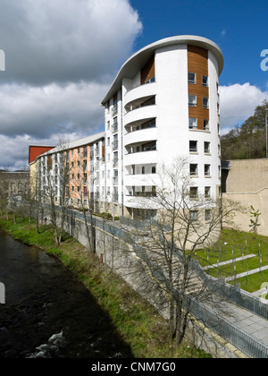 Laidlaw Gericht flache Entwicklung von Eildon Wohnungsbaugesellschaft Ltd in Galashiels schottischen Grenzen Schottland Stockfoto