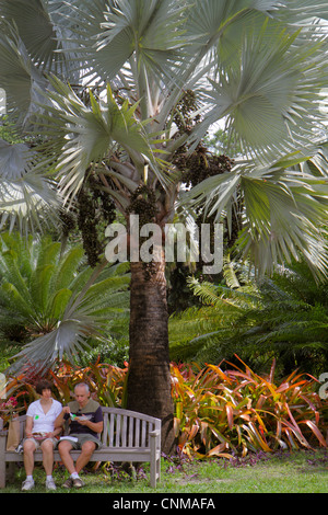 Miami Florida, Coral Gables, Fairchild Tropical Gardens, Bank, Mann Männer männlich, Frau weibliche Frauen, Palme, FL120311454 Stockfoto