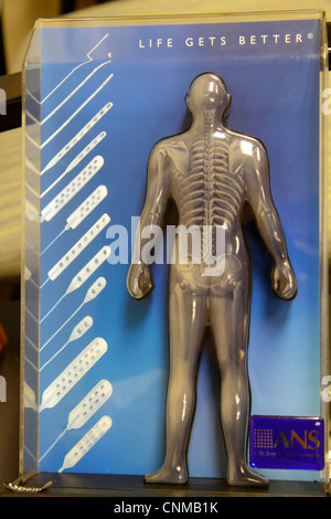 Miami Beach, Florida, Physiotherapie-Zentrum, Zentrum, Wartezimmer, menschliche Figur, Skelett, Wirbelsäule, Becken, Rippenkäfig, FL120331005 Stockfoto