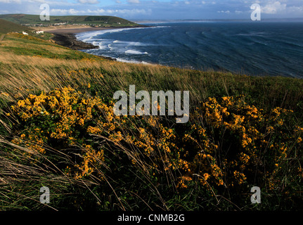 Blick über Croyde Bay von Baggy Point, north Devon, England, Vereinigtes Königreich, Europa Stockfoto