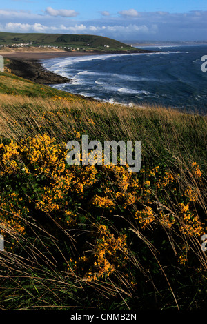 Blick über Croyde Bay von Baggy Point, north Devon, England, Vereinigtes Königreich, Europa Stockfoto