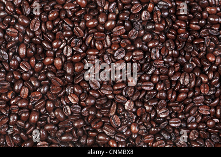 Foto von frisch gerösteten Arabica und Robusta-Kaffee Bohnen geeignet für den Einsatz als Hintergrund. Stockfoto