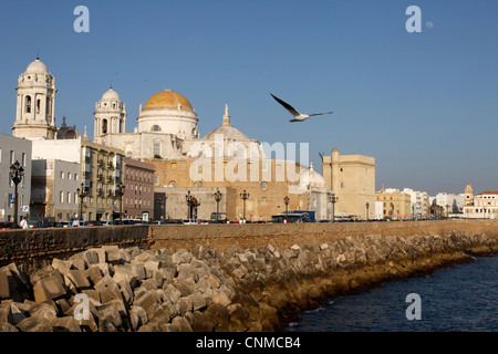 Cadiz Waterfront, Cádiz, Andalusien, Spanien, Europa Stockfoto