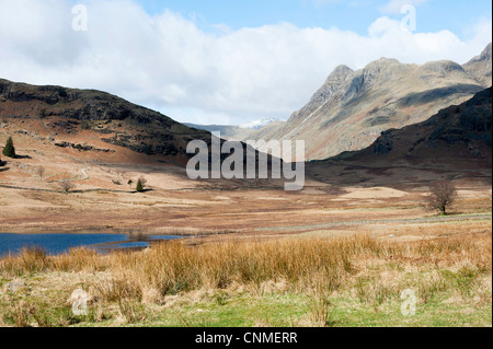 Blea Tarn mit Blick in Richtung Langdale Pikes und Valley Lake District National Park Cumbria, England, Vereinigtes Königreich Großbritannien Stockfoto