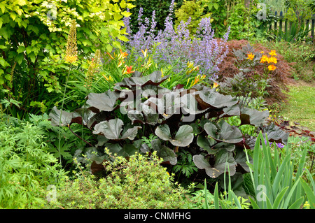 Private Garten - Herr & Mme Fleury, offen für die Öffentlichkeit im Juni (La Ferté Macé, Orne, Normandie, Frankreich). Stockfoto