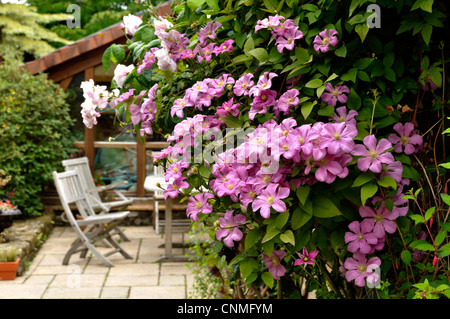 Private Garten - Herr & Mme Fleury, offen für die Öffentlichkeit im Juni (La Ferté Macé, Orne, Normandie, Frankreich). Stockfoto