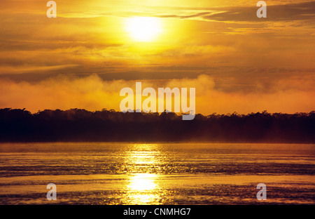 Sonnenaufgang über dem Amazonas. Loreto-Provinz, Peru. Stockfoto