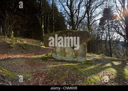 Gwal y Filiast neolithische Grab, Carmarthenshire, West Wales, UK Stockfoto