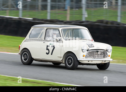 Austin Mini Cooper S Rennwagen am Oulton Park Motor Racing Circuit Cheshire England Vereinigtes Königreich UK Stockfoto