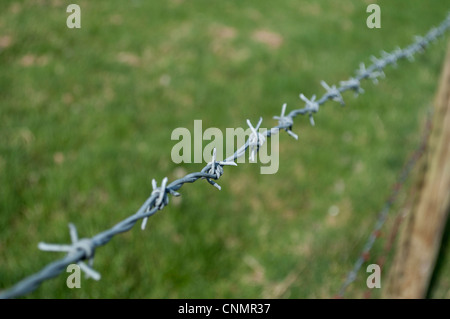 Einzelstrang der Stacheldrahtzaun mit selektiven Fokus auf eine Kerbe Stockfoto