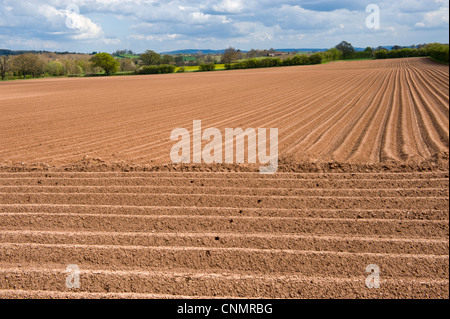 englische Landschaft Blick über Acker auf Ackerland in der Nähe von Credenhill Herefordshire England UK Stockfoto