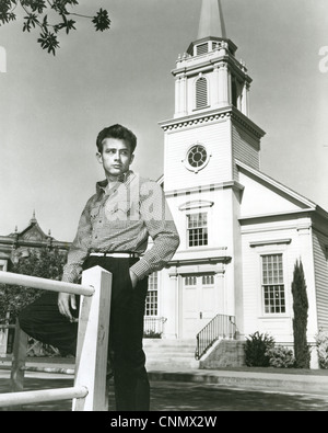 JAMES DEAN (1931-1955) US-Schauspieler im Jahr 1955 Stockfoto